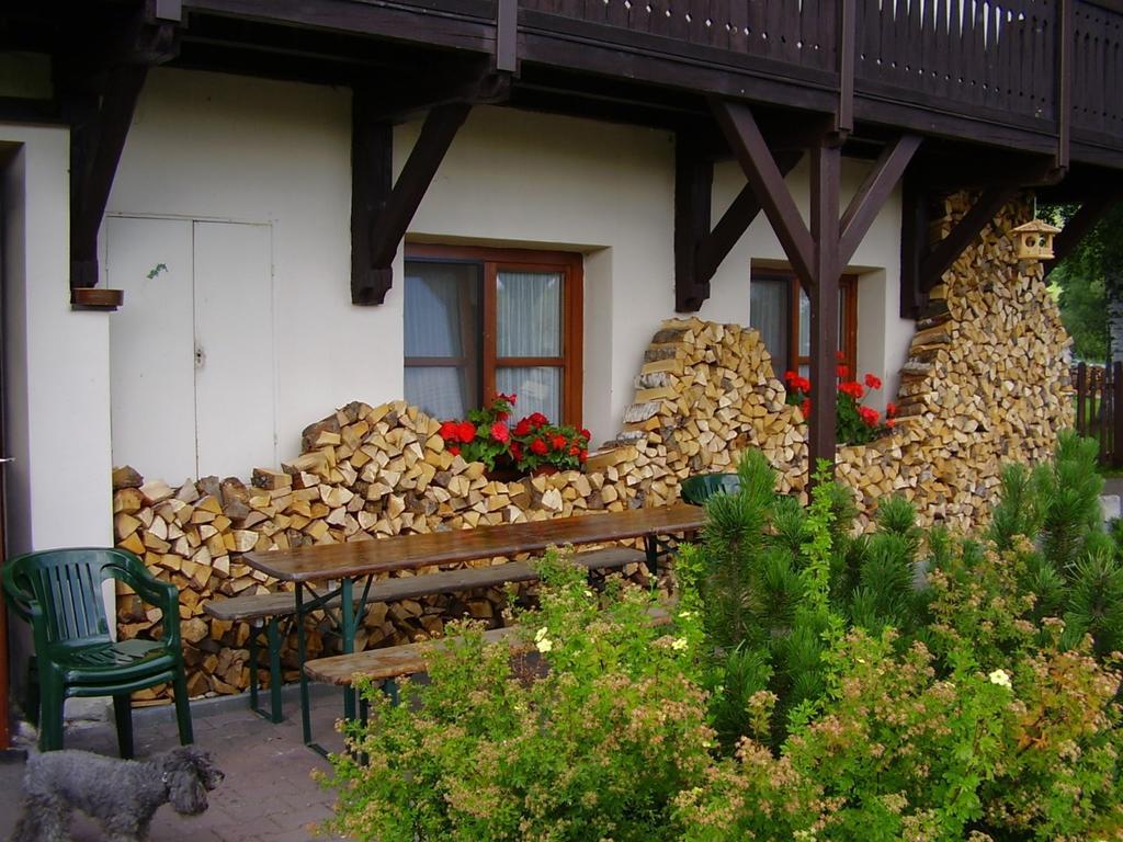 Penzion Bazum Hotel Horní Vltavice Екстериор снимка